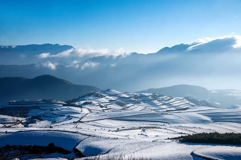 VCG21gic19950816 VCG21gic19950816